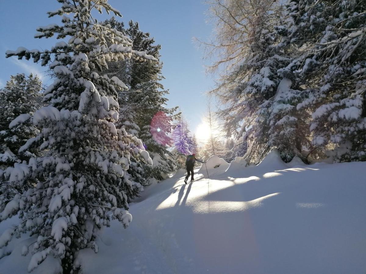 Dolomites B&B - Suites, Apartments And Spa Tesero Bagian luar foto