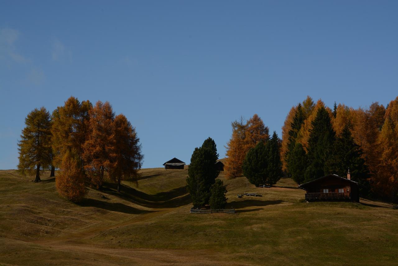 Dolomites B&B - Suites, Apartments And Spa Tesero Bagian luar foto